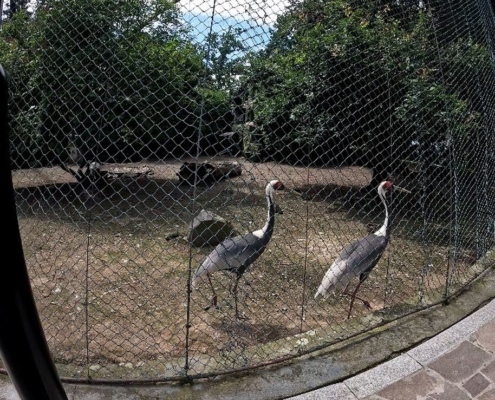 Zoo-Olomouc