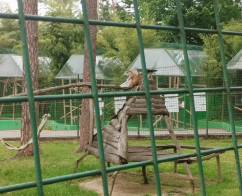 Zoo-Olomouc