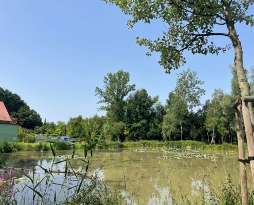 Dnes Rybník Pod Hurou - Výškovice.