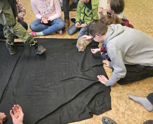 Zvířátka ve škole - Mini ZOO Vendryně