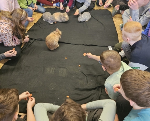 Zvířátka ve škole - Mini ZOO Vendryně