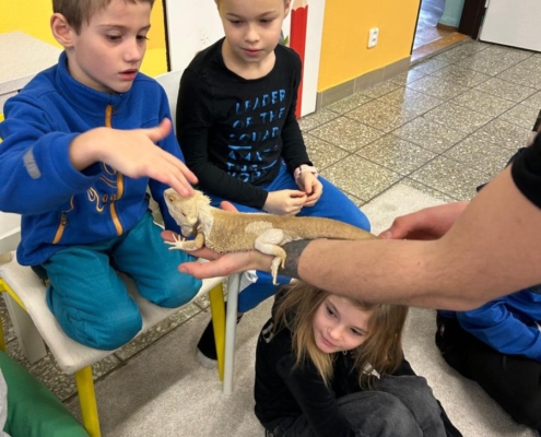 Zvířátka ve škole - Mini ZOO Vendryně