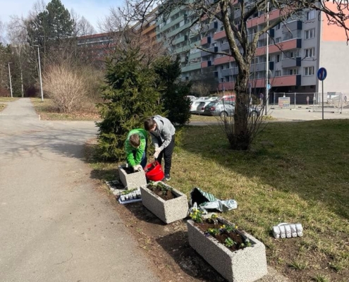 jarní sázení a úklid před školou